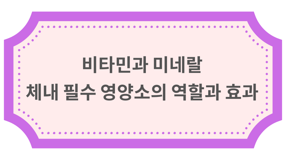 비타민과 미네랄: 체내 필수 영양소의 역할과 효과