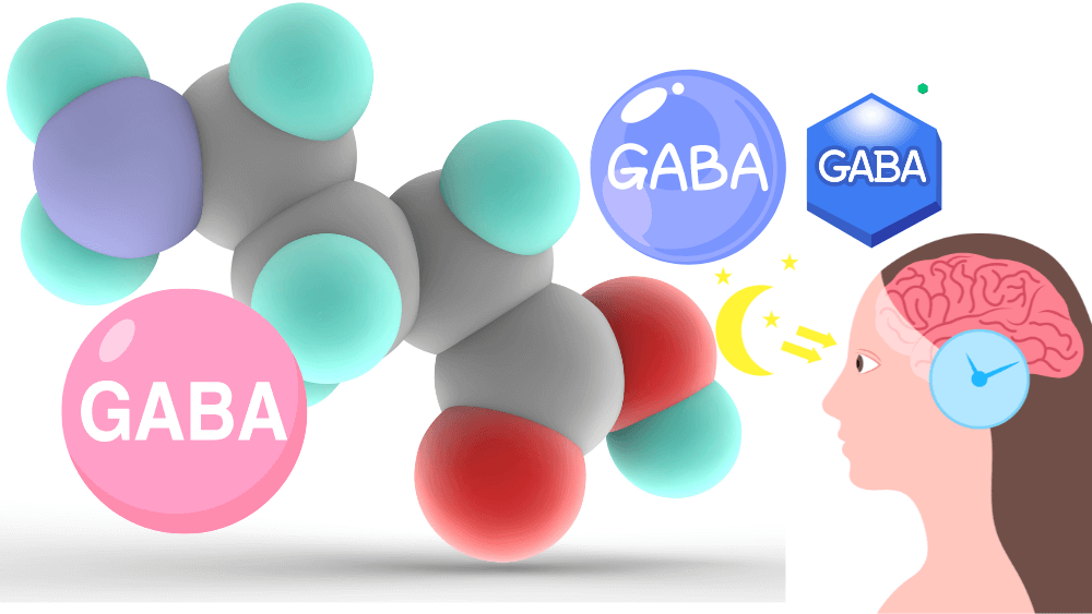 GABA의 건강 효능: 스트레스 관리와 수면 질 향상